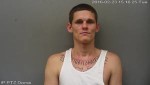 EARLY, MICHAEL DAVID Booking #: 160224638 Booking Date: 02-23-2016 Charges: FAILED TO APPEAR IN COURT ON THEFT 1ST