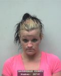 Birth Date:  10/26/85 Booking Number:  A1602202 Agency:  LAUD Inmate Name:  WADE, APRIL N Time/Date Offense Area Statute Court Crime Class 14:10:00 05/28/16 Allowing Dogs to Run at Large 3-1-5 7399 DIST 14:10:00 05/28/16 Reckless Endangerment 13A-6-24 1314 DIST AM